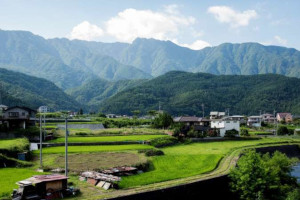 Nishikatsura (Yamanashi)